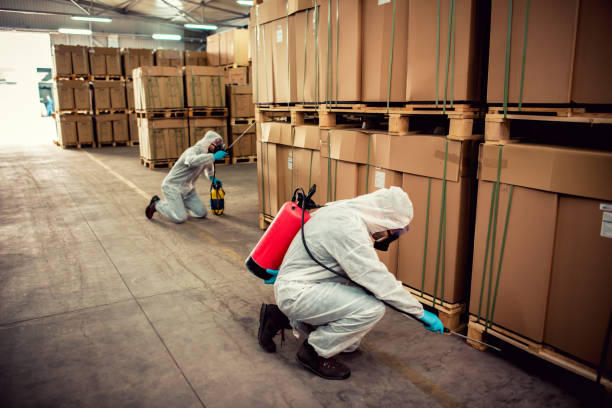 Best Exterminator Services  in Warren, IL