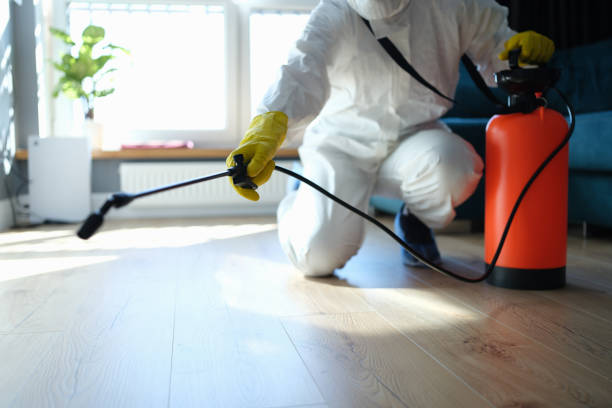 Wasp Removal Services in Warren, IL