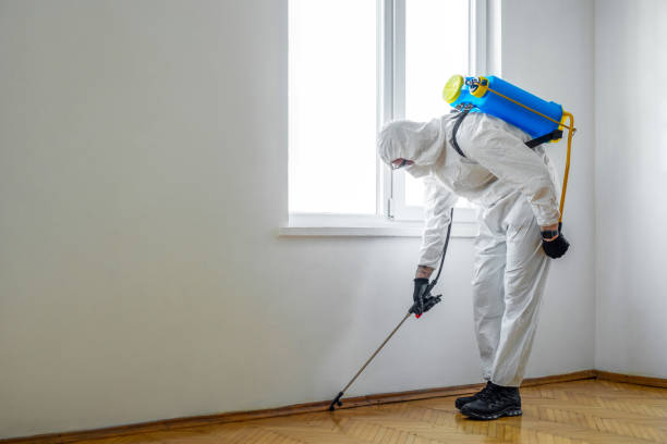 Best Best Pest Control Companies  in Warren, IL