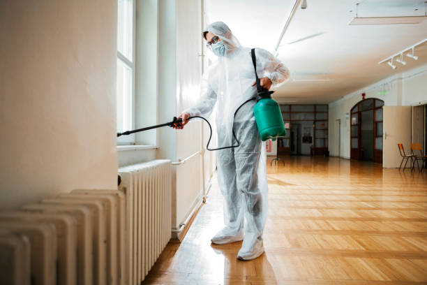 Best Cockroach Control Services  in Warren, IL