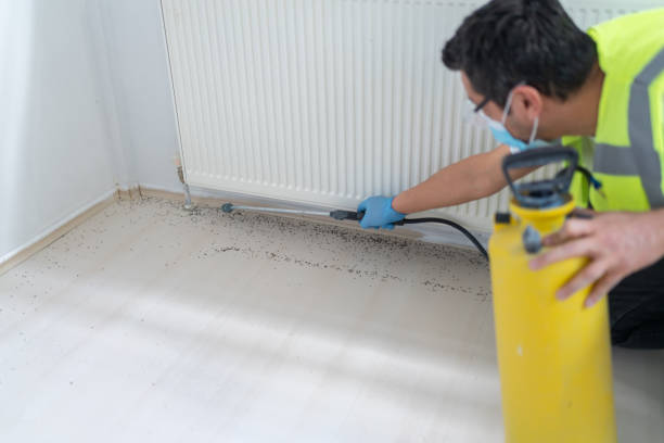 Best Wasp Removal Services  in Warren, IL