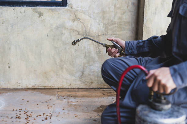 Best Mosquito Control Services  in Warren, IL